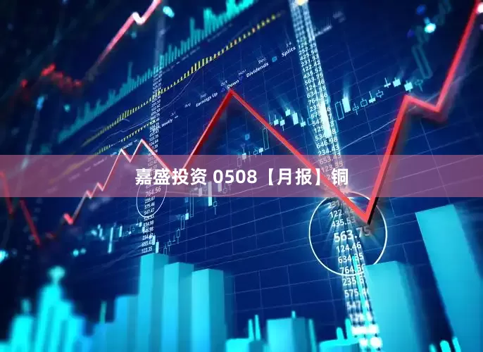 嘉盛投资 0508【月报】铜
