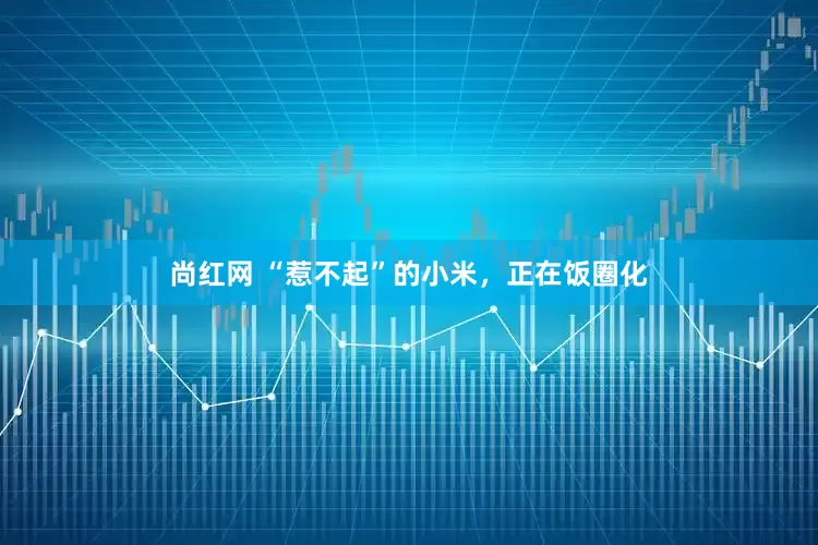 尚红网 “惹不起”的小米，正在饭圈化
