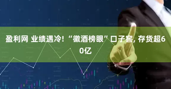 盈利网 业绩遇冷! “徽酒榜眼”口子窖, 存货超60亿