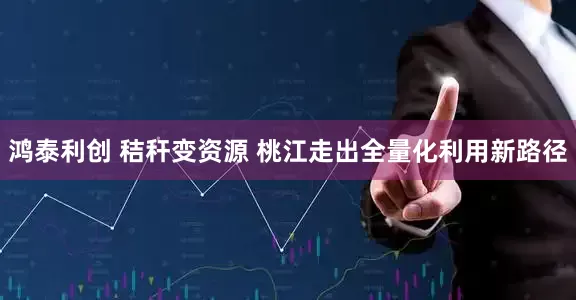 鸿泰利创 秸秆变资源 桃江走出全量化利用新路径